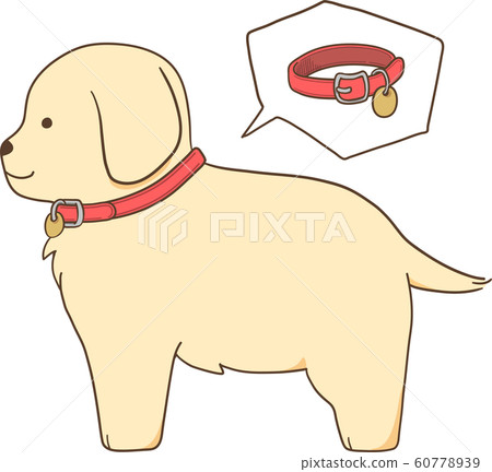 金毛幼犬(領) 金毛幼犬(領) 60778939