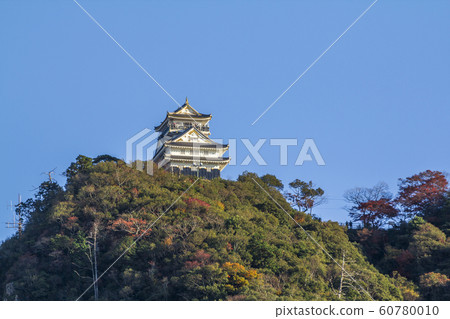 Gifu Prefecture Gifu Castle Gifu Prefecture Gifu Castle 60780010