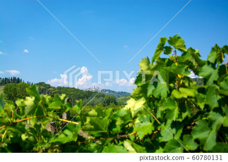 San Gimignano, Tuscany, Italy San Gimignano, Tuscany, Italy 60780131