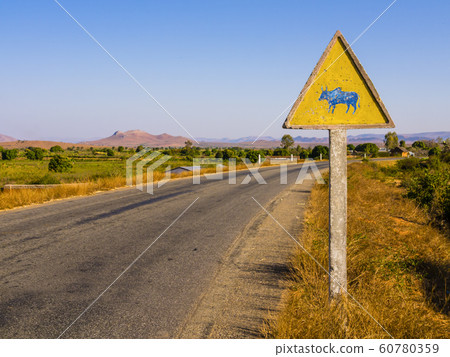 Madagascar, picturesque zebu warning road sign beside RN7 highway 60780359