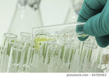 Marine plankton or Microalgae culture Marine plankton or Microalgae culture 60780463