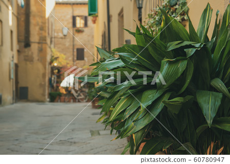 Street of Pienza Street of Pienza 60780947