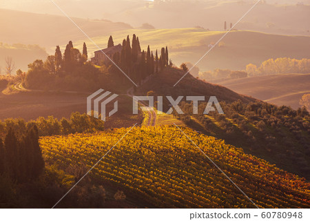 Sunrise in Italy Sunrise in Italy 60780948