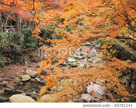 Autumn leaves at Fotsu-ji Temple 60781141