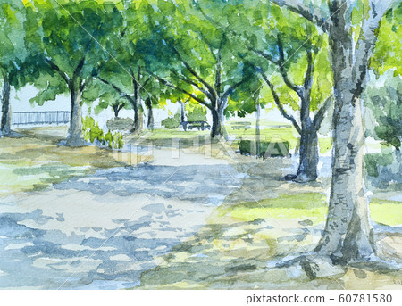 水上公園初夏水彩 60781580