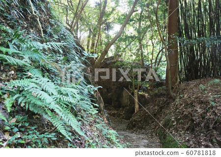 Shibushi Castle Shibushi Castle 60781818