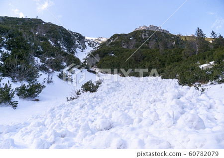 Landscape after the descent of a snow avalanche. 60782079