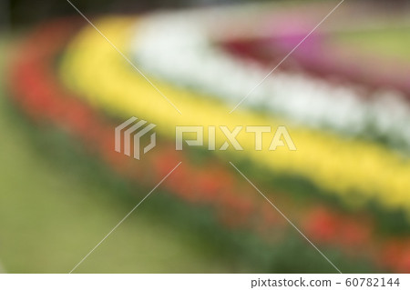 Background Image-6-Tulip Blur Photo, Background Image Background Image-6-Tulip Blur Photo, Background Image 60782144