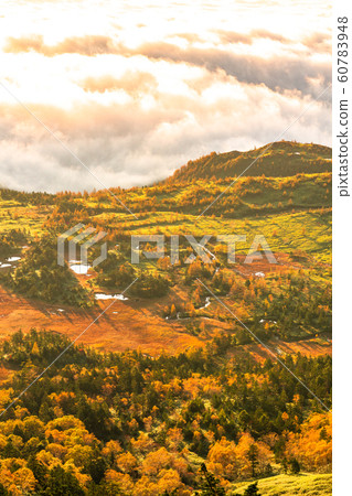 《Gunma Prefecture》Shibutoge's arrival, Shiga Kogen in autumn 60783948