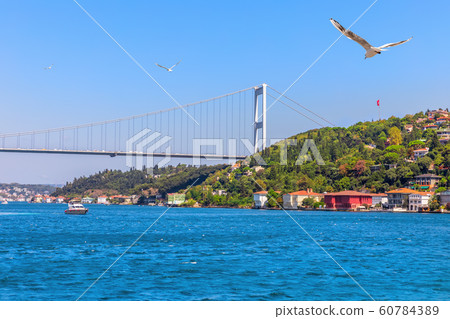 Seagull and the Fatih Sultan Mehmet Bridge near Seagull and the Fatih Sultan Mehmet Bridge near 60784389