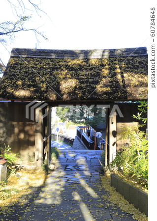 千葉縣松戶市東條岡歷史公園K門 千葉縣松戶市東條岡歷史公園K門 60784648