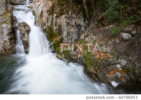 Hananuki Valley Shiomi Falls Autumn (Takahagi City, Ibaraki Prefecture) November 2019 60786053