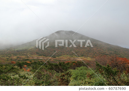 [固定金額]秋葉那須山（清水熊美S） 60787690