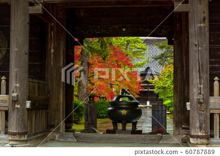 Autumn leaves of Tentokuin 60787889