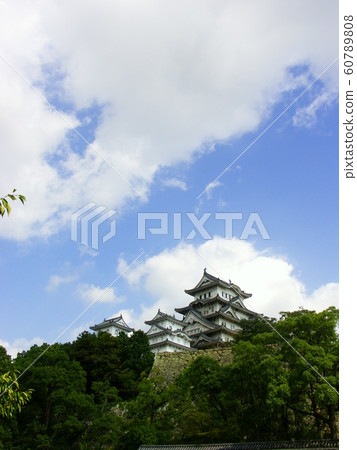 Himeji Castle, Japan 60789808