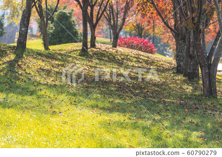 191101綠色公園G038 60790279