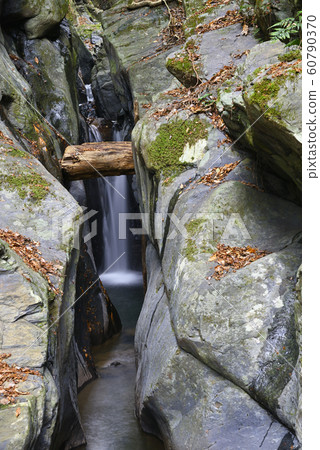 Ryuo Falls (Kyotanba-cho, Funai-gun, Kyoto) Ryuo Falls (Kyotanba-cho, Funai-gun, Kyoto) 60790370