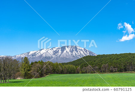Mt.Iwate Snow crown Forest Meadow Meadow Nature Blue Sky Road Background BG Tohoku region Iwate prefecture Japan Takizawa Shizukuishi Mt.Iwate Snow crown Forest Meadow Meadow Nature Blue Sky Road Background BG Tohoku region Iwate prefecture Japan Takizawa Shizukuishi 60791125