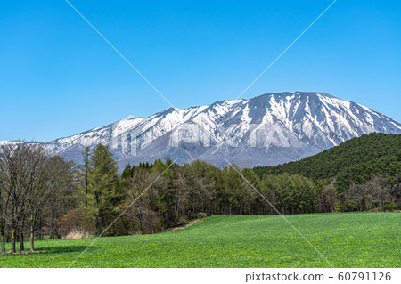 Mt.Iwate Snow crown Forest Meadow Meadow Nature Blue Sky Road Background BG Tohoku region Iwate prefecture Japan Takizawa Shizukuishi Mt.Iwate Snow crown Forest Meadow Meadow Nature Blue Sky Road Background BG Tohoku region Iwate prefecture Japan Takizawa Shizukuishi 60791126