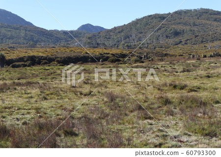 Tasmania Cradle Mountain Tasmania Cradle Mountain 60793300