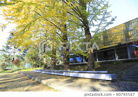 千葉大學松戶校區 千葉大學松戶校區 60793587