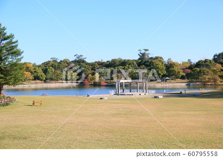 Autumn park Autumn park 60795558