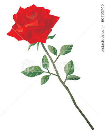 One red rose gift One red rose gift 60795749