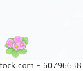 Flower, primula, julian, cherry tree, pink, margin 60796638
