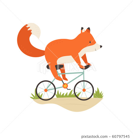 red fox bicycle