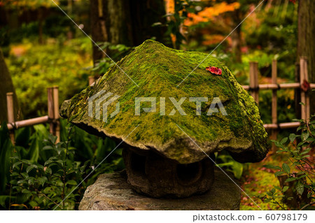 Autumn leaves of Nishida Family Garden Gyokusenen 60798179