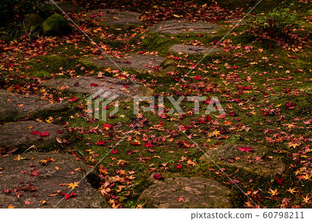 Autumn leaves of Nishida Family Garden Gyokusenen 60798211
