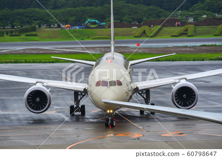 Passenger airplane at the airport 60798647