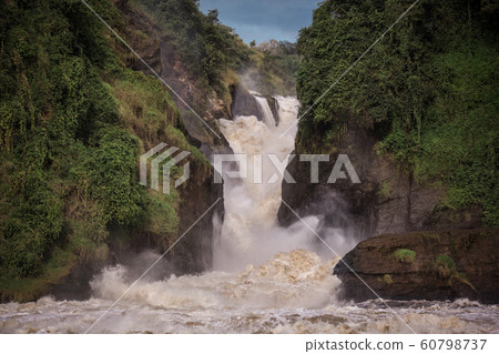 powerful Murchison falls in the upper reaches of the Nile river, Africa 60798737