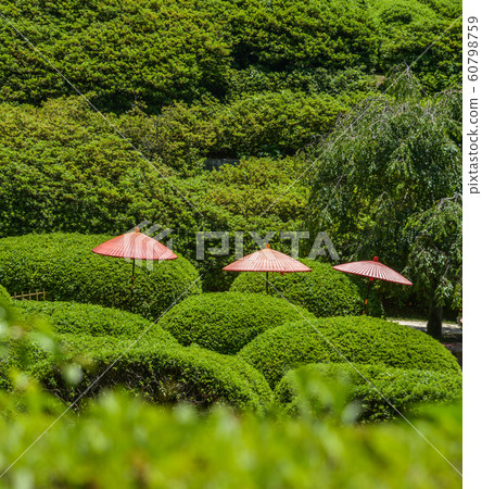 Idyllic landscape of Japanese garden Idyllic landscape of Japanese garden 60798759