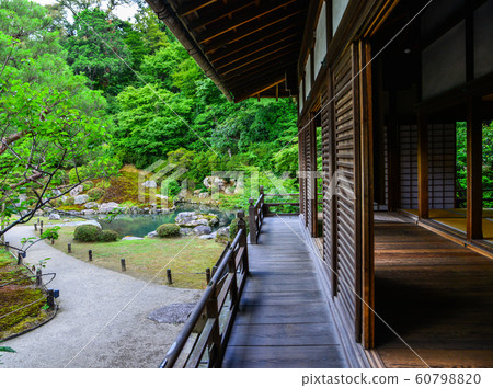 Ancient temple with huge trees Ancient temple with huge trees 60798820