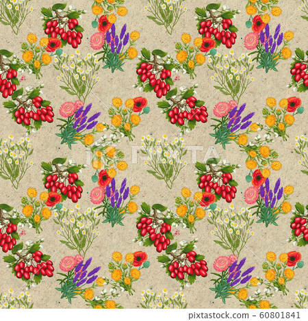 Hand drawn medicinal plant seamless pattern. Healing herbs drawing on craft paper. 60801841