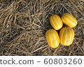 melon 60803260