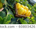 melon 60803426