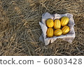 melon 60803428