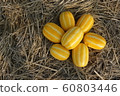melon 60803446