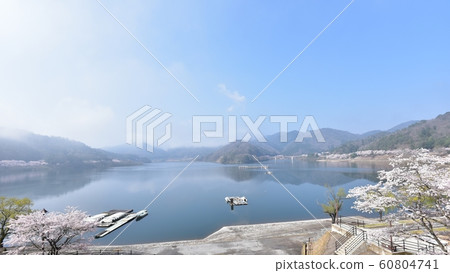 ji水壩廣島縣櫻花勝地 ji水壩廣島縣櫻花勝地 60804741