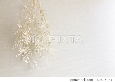 陰霾草乾花 60805075