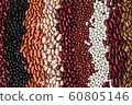 Different varieties of bean seeds. Beans 60805146