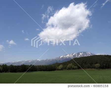Landscape natural plant photo Ihatov Koiwai Farm and Nanatsumori, Iwate Prefecture Landscape natural plant photo Ihatov Koiwai Farm and Nanatsumori, Iwate Prefecture 60805158