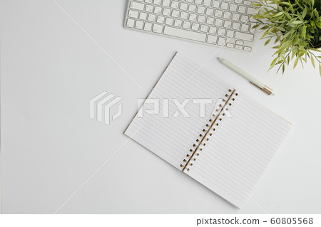 Flat layout with pen, computer keypad, open notebook with blank pages and plant 60805568
