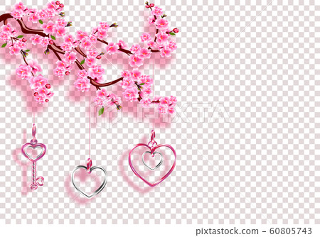 Valentine's Day. Sakura and jewelry. Branches with pink flowers, leaves and buds with shadow. On a transparent background. illustration 60805743