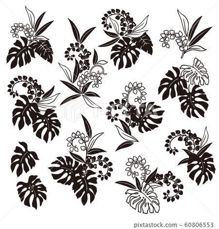 Tropical Plant Illustration, - Stock Illustration [60806553] - PIXTA