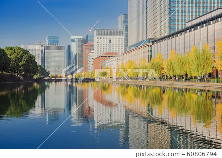 東京千代田區江戶城B江護城河沿線的銀杏樹木和摩天大樓的城市景觀 東京千代田區江戶城B江護城河沿線的銀杏樹木和摩天大樓的城市景觀 60806794