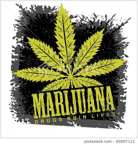 Marijuana Cannabis leaf on a grunge black background Marijuana Cannabis leaf on a grunge black background 60807122