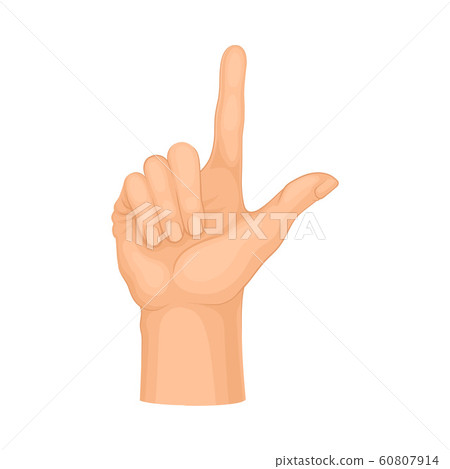 Detailed Hand Making Gesture Isolated on White Background Vector Element Detailed Hand Making Gesture Isolated on White Background Vector Element 60807914